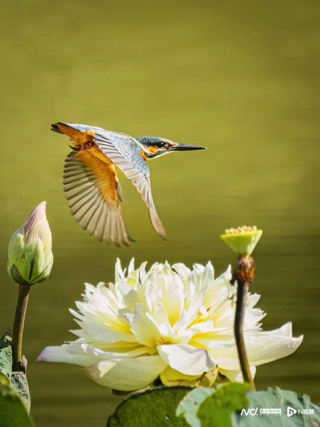 东莞最新发布:将严厉打击这些行为<strong></p>
<p>金发科技股票</strong>!