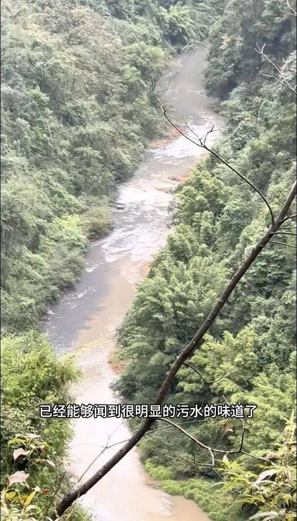 重庆通报：坚决查处<strong></p>
<p>小红书股票</strong>，绝不姑息