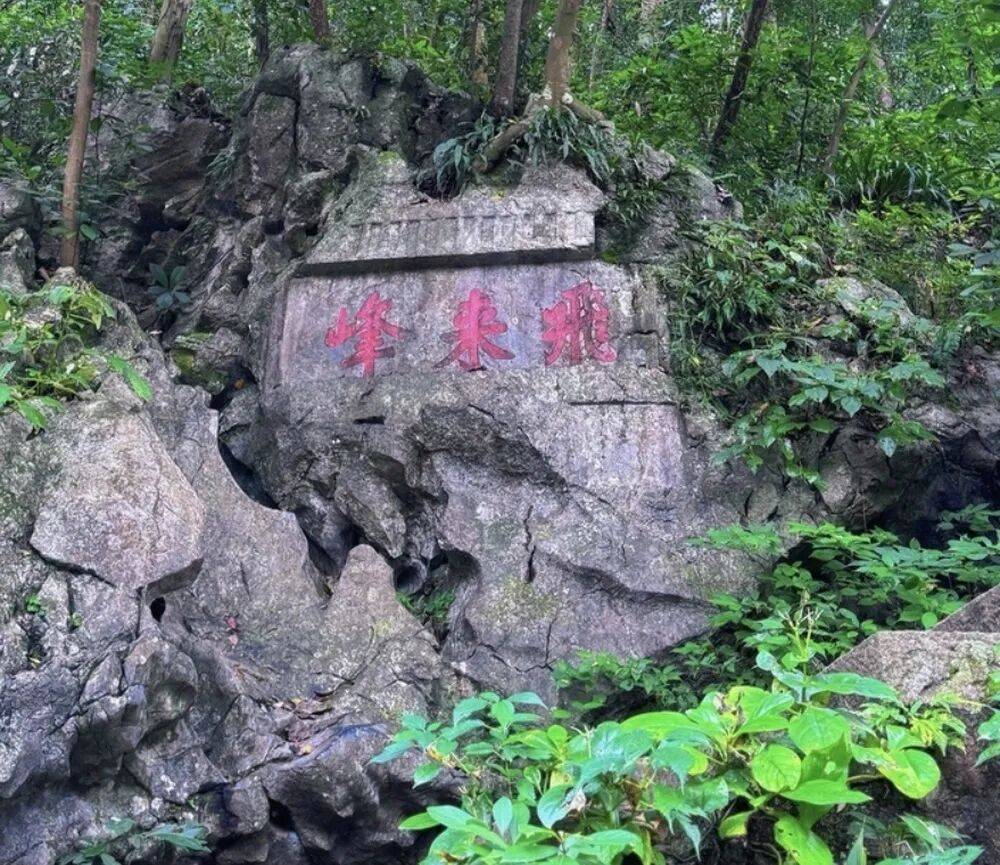 灵隐飞来峰景区将免票开放<strong></p>
<p>智飞生物股票</strong>，官方回应：“让飞来峰飞入寻常百姓家”