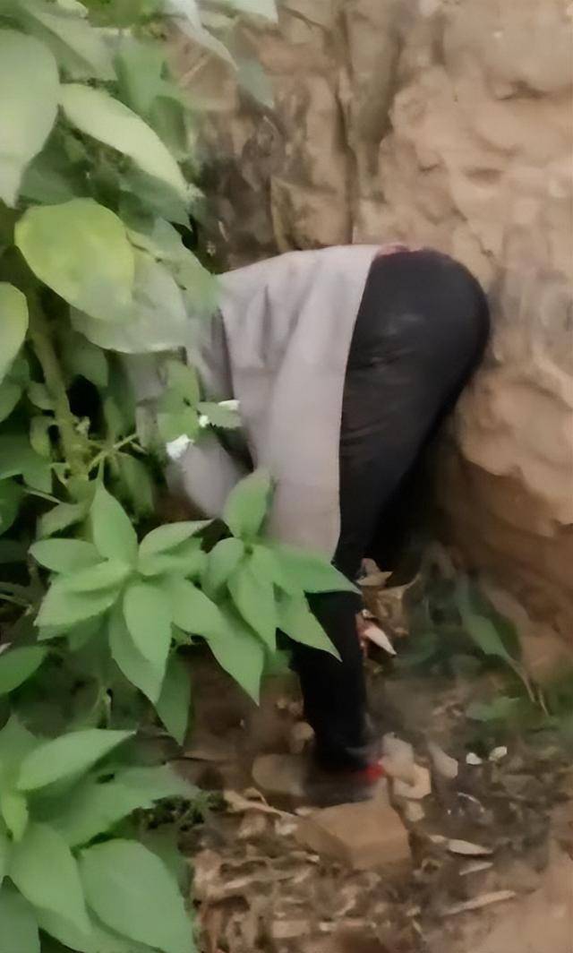 陕西一女子疑因拍亲姑姑偷玉米遭姑父棍杀<strong></p>
<p>双汇发展股票</strong>，邻居欲报警也遇害