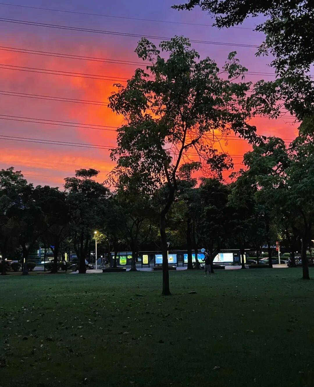 第一批丁克老后<strong></p>
<p>中公教育股票</strong>，“伴侣能陪一程，但最后都要靠自己”