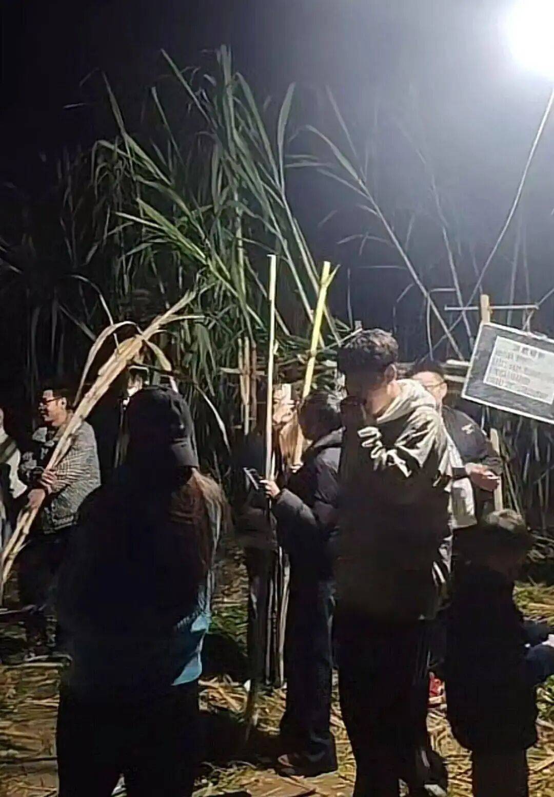 四川眉山“偷甘蔗农场”爆火！增设2.99元入场费后<strong></p>
<p>中公教育股票</strong>，地里仍来了上千游客，“偷甘蔗”被逮到的人要表演才艺，老板：日销售有时近万元