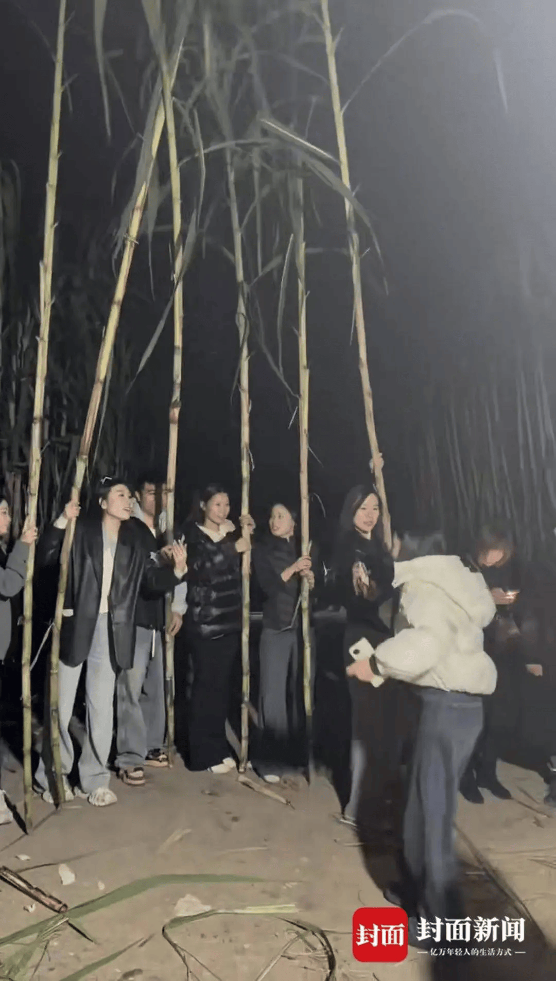 四川眉山“偷甘蔗农场”爆火！增设2.99元入场费后<strong></p>
<p>中公教育股票</strong>，地里仍来了上千游客，“偷甘蔗”被逮到的人要表演才艺，老板：日销售有时近万元