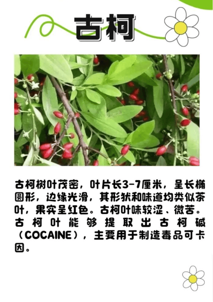 悬赏1500万美金！前奥运选手涉多起案件<strong></p>
<p>海立股份股票</strong>，被列入十大通缉犯