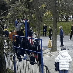 60多岁老人完成14个单杠大回环后猝死<strong></p>
<p>海立股份股票</strong>！