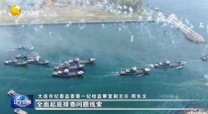 大起底<strong></p>
<p>中国股票</strong>！辽宁掀起雷霆反腐