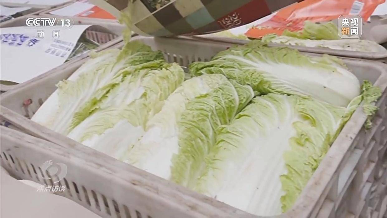 单棵售价超百元<strong></p>
<p>中国股票</strong>，起底“套牌白菜”背后的销售套路