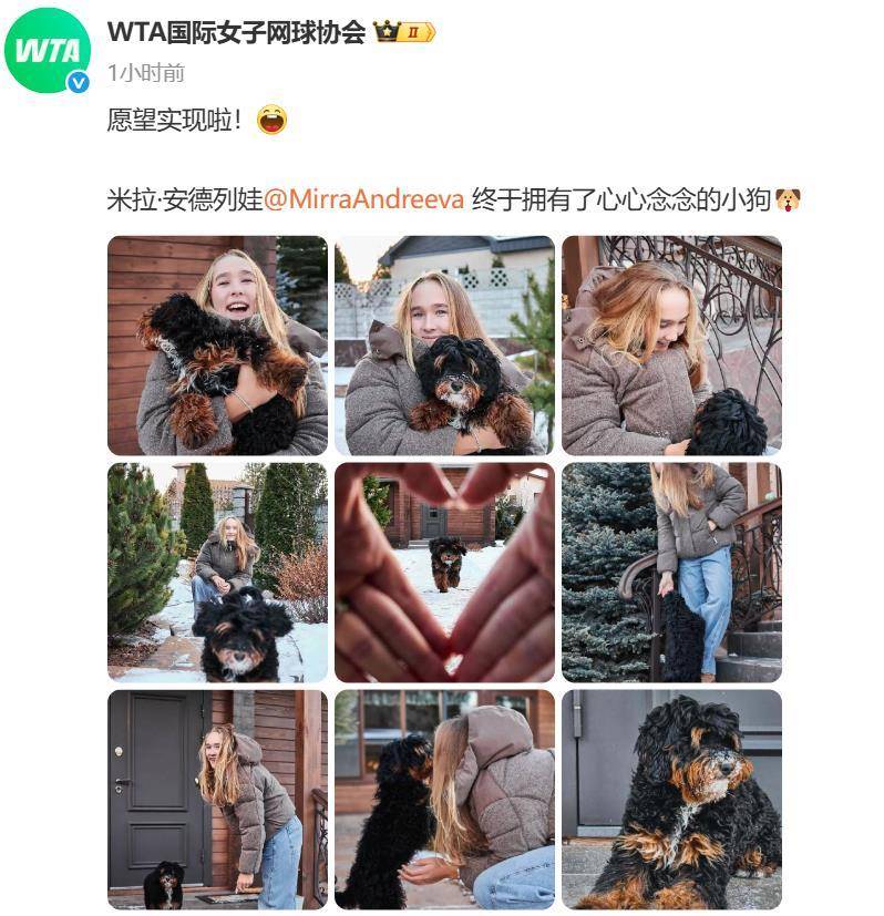 “小米辣”终于有了自己的小狗！曾说养狗是赢球的动力<strong></p>
<p>中国股票</strong>，WTA官方发“贺信”：愿望实现啦！
