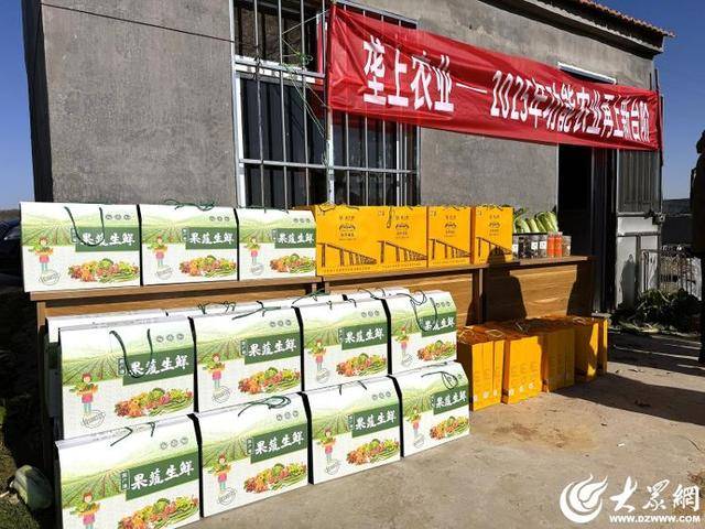 山东青岛：全国首批“板蓝根白菜”喜获丰收<strong></p>
<p>云天化股票</strong>，正式上市！首批10万棵已被上海采购商“包圆”