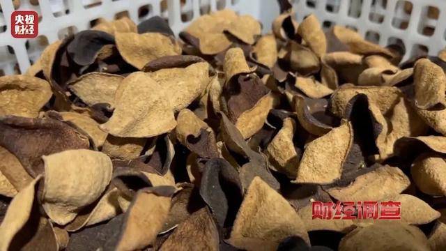 30天速成陈皮<strong></p>
<p>钱江摩托股票</strong>，成本仅70元，利润超成本10倍以上！央视起底陈皮跨省造假产业链