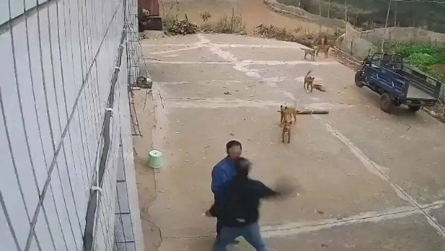 男子家门口吃橘子被邻居一拳打昏<strong></p>
<p>伊利股票</strong>，警方通报：因养狗问题起冲突，均有受伤