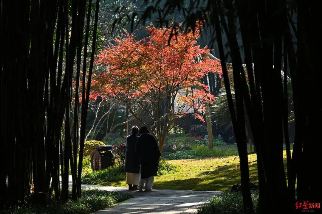 我国已进入拉尼娜状态<strong></p>
<p>平煤股份股票</strong>！四川今冬或“前暖后冷”