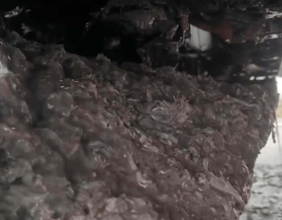 紫牛头条｜40余车辆遭高速海鲜废料“臭袭”<strong></p>
<p>股票交易时间</strong>，交警称“非交通事故”，车主维权陷两难