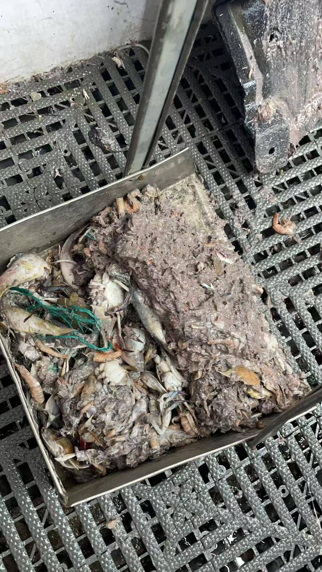 紫牛头条｜40余车辆遭高速海鲜废料“臭袭”<strong></p>
<p>股票交易时间</strong>，交警称“非交通事故”，车主维权陷两难