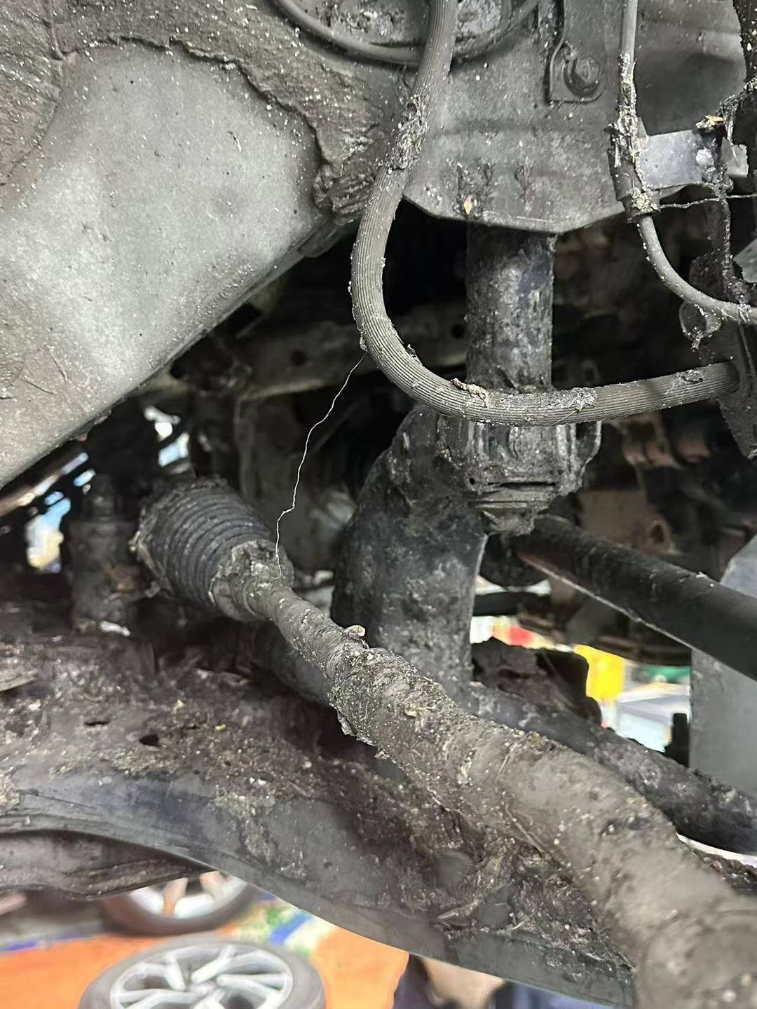 紫牛头条｜40余车辆遭高速海鲜废料“臭袭”<strong></p>
<p>股票交易时间</strong>，交警称“非交通事故”，车主维权陷两难