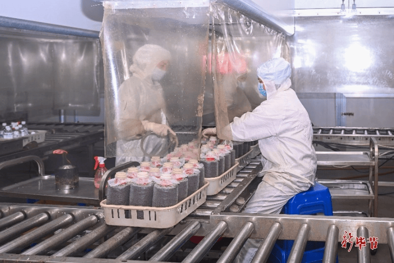 科技创新与产业发展“比翼双飞”