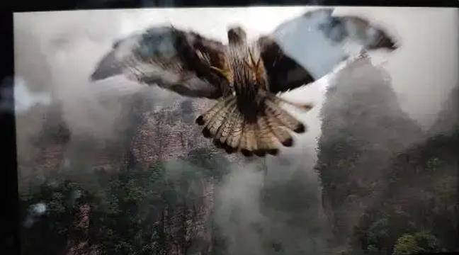 土耳其老鹰空中抓走无人机<strong></p>
<p>农发种业股票</strong>，带上山顶“玩自拍”