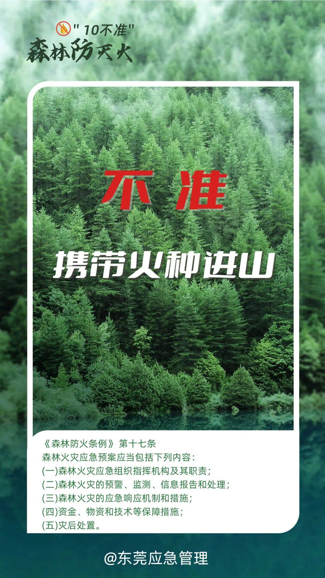 深圳坪山区突发山火<strong></p>
<p>双塔食品股票</strong>，最新通报：明火已扑灭，无人员伤亡