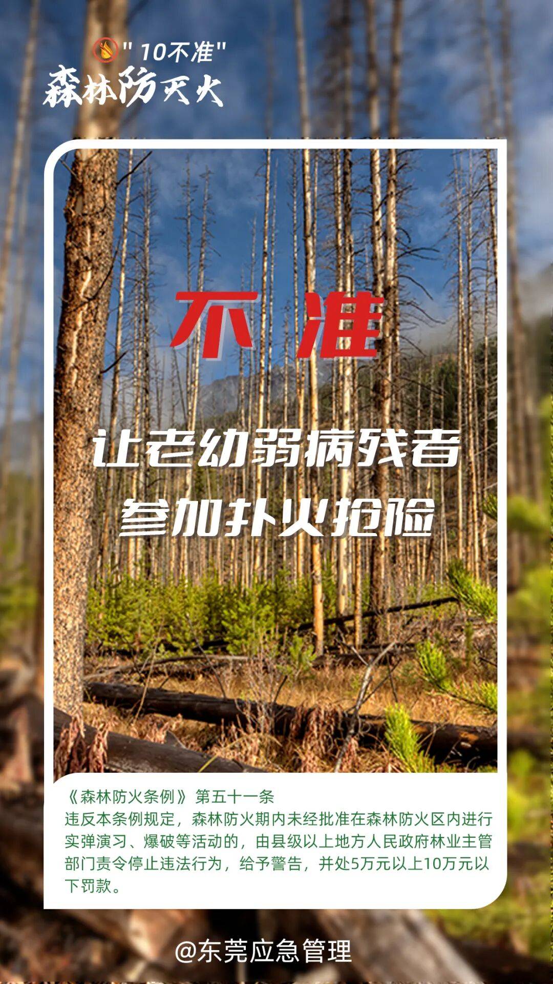 深圳坪山区突发山火<strong></p>
<p>双塔食品股票</strong>，最新通报：明火已扑灭，无人员伤亡