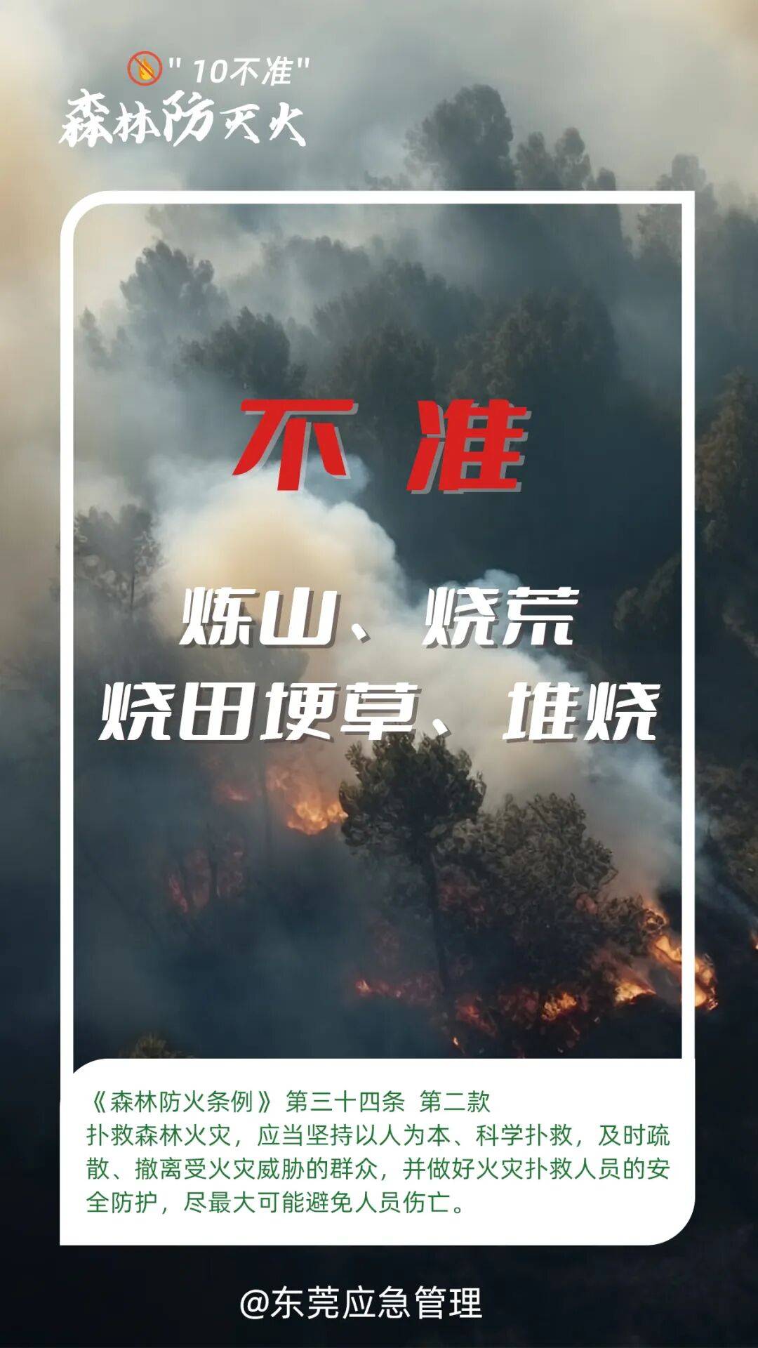 深圳坪山区突发山火<strong></p>
<p>双塔食品股票</strong>，最新通报：明火已扑灭，无人员伤亡