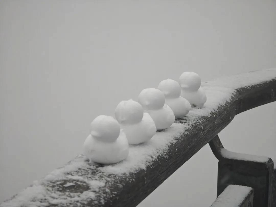 直降10℃<strong></p>
<p>中国化学股票</strong>！南京又要下雪了