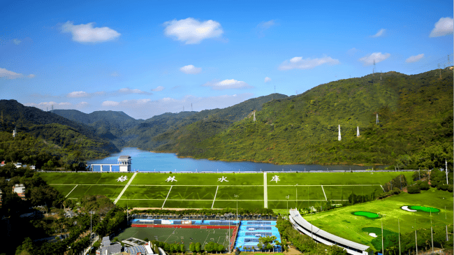 深圳一条路的路灯竟被官方“故意调暗”<strong></p>
<p>福晶科技股票</strong>！原因很特别……