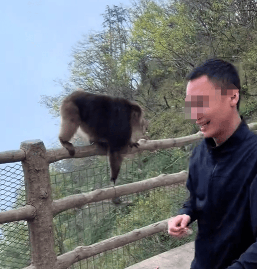 猛推峨眉山猴子的男子已致歉<strong></p>
<p>达安基因股票</strong>，三年内禁止进入景区！猴子没事